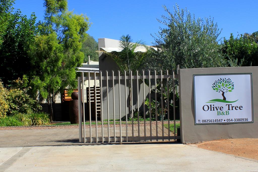 Olive Tree B&B Upington Exterior photo